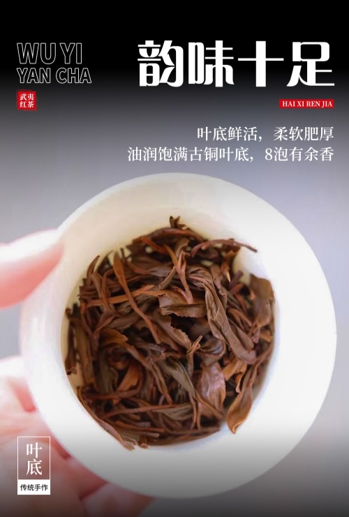 老丛红茶8.jpg