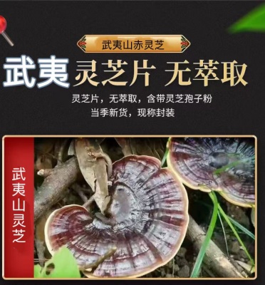 灵芝片 5.jpg